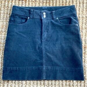 Patagonia Organic Cotton Corduroy Skirt 2